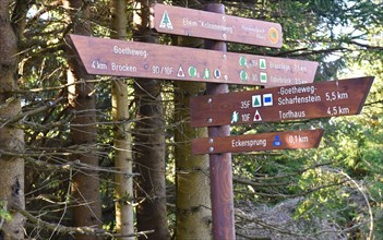 Signposts in the Harz Mountains