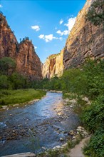 The beautiful views of the Zion national park canyon. United States