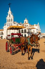 Carriage with a brown horse at the Rocio festival in the Rocio sanctuary. Huelva. Andalusia