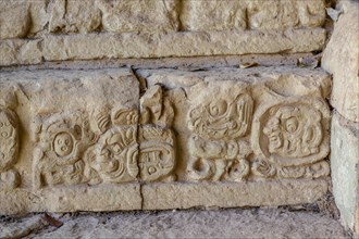 Mayan drawings in the temples of Copan Ruinas. Honduras