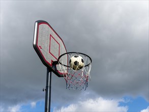 Basketball Basket and Net with Ball