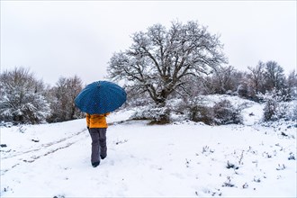 Young girl with a yellow jacket and an umbrella walking through the snow next to a tree. Snow in the town of Opakua near Vitoria in Araba