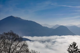 Mountain Range and Bare Tree Above Cloudscape in a Sunny Day in Lugano
