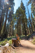 A woman in Giant trees in a meadow of Sequoia National Park