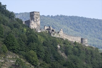 Hinterhaus Castle Ruin