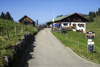Alpe Dinjoergen