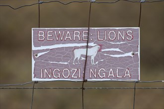 Lion attention sign on a game fence