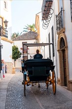 Carriage with tourists next to the Church of Santa Maria la Mayor in the historic center of Ronda