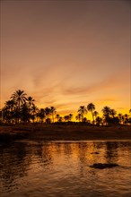Silhouette of palm trees in an orange sunset in the town of Torrevieja. White coast