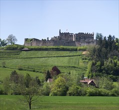 Hochburg castle ruins