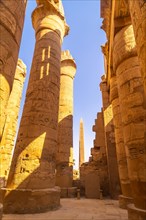 Giant columns of the temple of Karnak