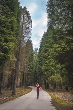 A young blonde in a red dress in a giant pine forest. Lifestyle session