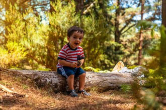 Portrait of a boy sitting on a tree in nature next to pine trees smiling