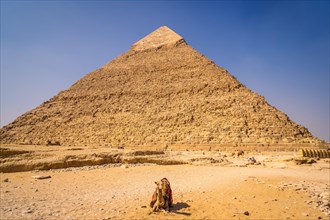 A camel sitting on the pyramid of Khafre. The pyramids of Giza the oldest funerary monument in the world. In the city of Cairo