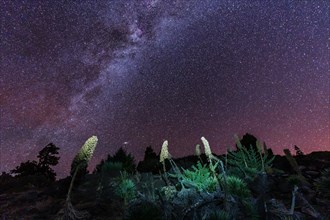 One of the best Milky Ways in the world in the Caldera de Taburiente near Roque de los Muchahos on the island of La Palma