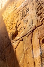 Detail of beautiful natural light on an ancient egyptian drawings inside the Luxor Temple