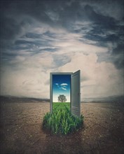 A door in the middle of a dry land leading to a green field. Environmental and climate change concept. The future of global warming and a doorway to the past