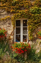 Houses full of green leaves in the medieval village of Rochefort-en-Terre