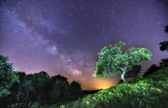 A beautiful tree under the beautiful Milky Way on Mount Erlaitz in the town of Irun
