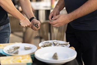 Two men open oysters with a knife. Mid shot
