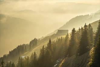 Mountain landscape. The building of the mountain station on the Hochgrat in autumn in the evening with fog and backlight. Oberstaufen