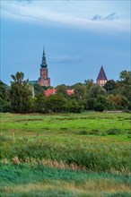 Viewpoint Wiesen bei Greifswald after a picture motif by painter Caspar David Friedrich