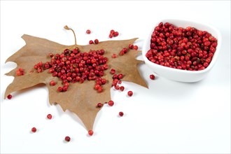 Pink peppercorns on a dry leaf and in a white ceramic bowl isolated on a white background and copy space
