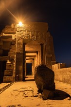 Gorgeous columns and the sacred stone of the Kom Ombo Temple at night illuminated