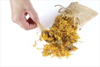 Woman takes a spoonful of dried calendula flowers