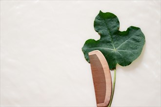 A wooden comb nestled on a leaf