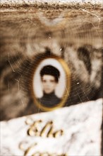 Spider's web on a tombstone in front of a blurred photo Medailion of the deceased in a cemetery