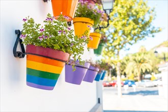 Flower pots with rainbow colors with lgbt colors. Mijas