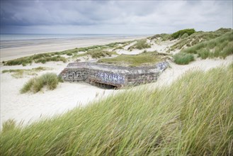 Destroyed bunkers in the dunes of Dunkirk