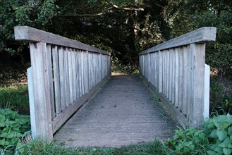 Bridge for pedestrians in the forest