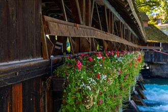 Beautiful Obere Schleuse Bridge in City of Thun with Flowers in a Sunny Summer Day in Thun