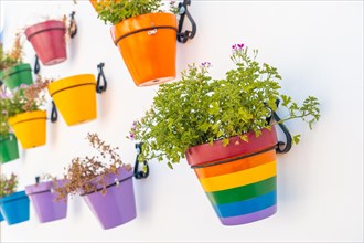 Flower pots with rainbow colors with lgbt colors. Mijas
