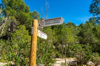 Route of the Pantaneros towards the hanging bridges in the Loriguilla reservoir. Chulilla town in the Valencian community. Spain