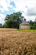 Straw barn in French Brittany in July summer