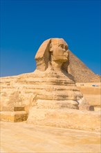 The spectacular Sphinx of Giza in the city of Cairo