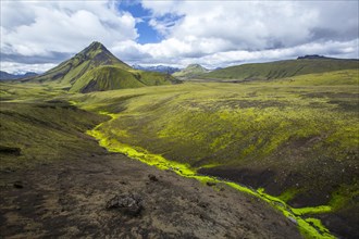A green mountain and a beautiful river of moss on the 54 km trek from Landmannalaugar