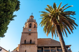 Palm trees next to the Church of Santa Maria la Mayor in the historic center of Ronda