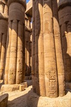 Precious columns with ancient egyptian drawings in Luxor Temple