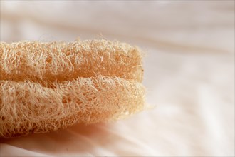 Close up to a loofah sponge