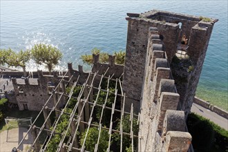 View of the fortress wall and lemon grove