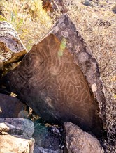 Stones with drawings of ancestors on the Las Tricias trail in the town of Garafia in the north of the island of La Palma