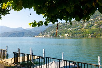 Lake and Mountain View with Tree Branch over Morcote in a Sunny Summer Day on Lake Lugano in Morcote