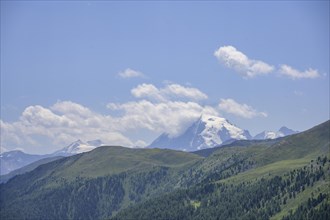 View of the Ortler
