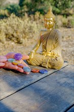 Woman's hands with chakra stones on a wooden table with a statue of a buddha in the background