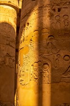 Detail of the columns with Egyptian drawings of the Temple of Karnak