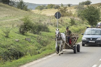Horse-drawn vehicle on a road